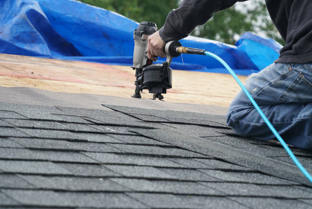 Best Storm Damage Roof Repair  in Port Allegany, PA