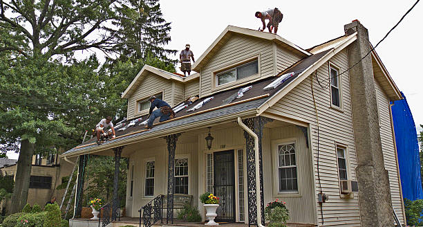 Best Metal Roofing Contractor  in Port Allegany, PA